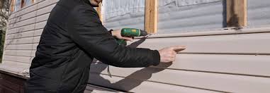 Best Vinyl Siding Installation  in Hoschton, GA